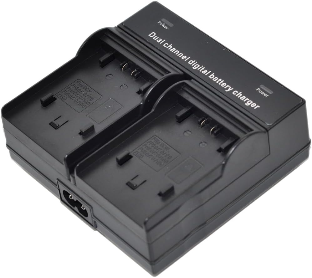 CGA-DU14 Battery AC Dual Charger