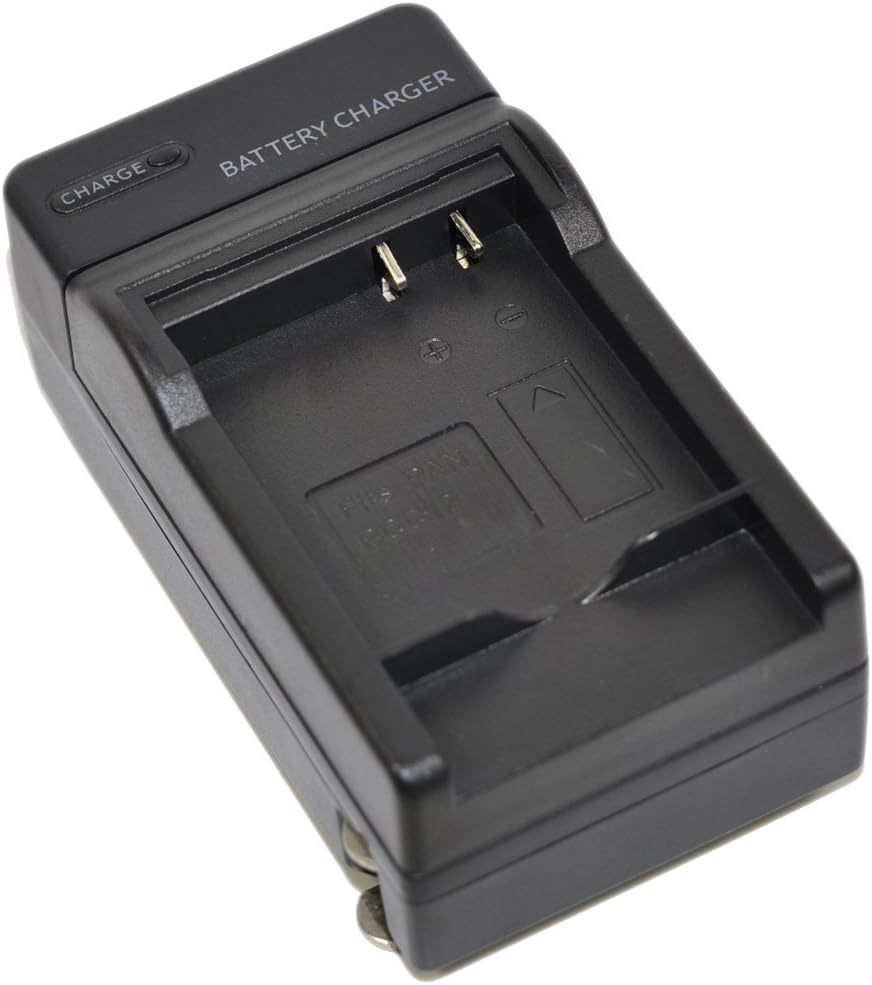 d-li109 battery ac dc car charger