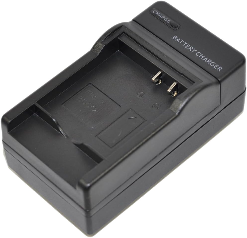 D-Li109 Battery AC DC Car Charger