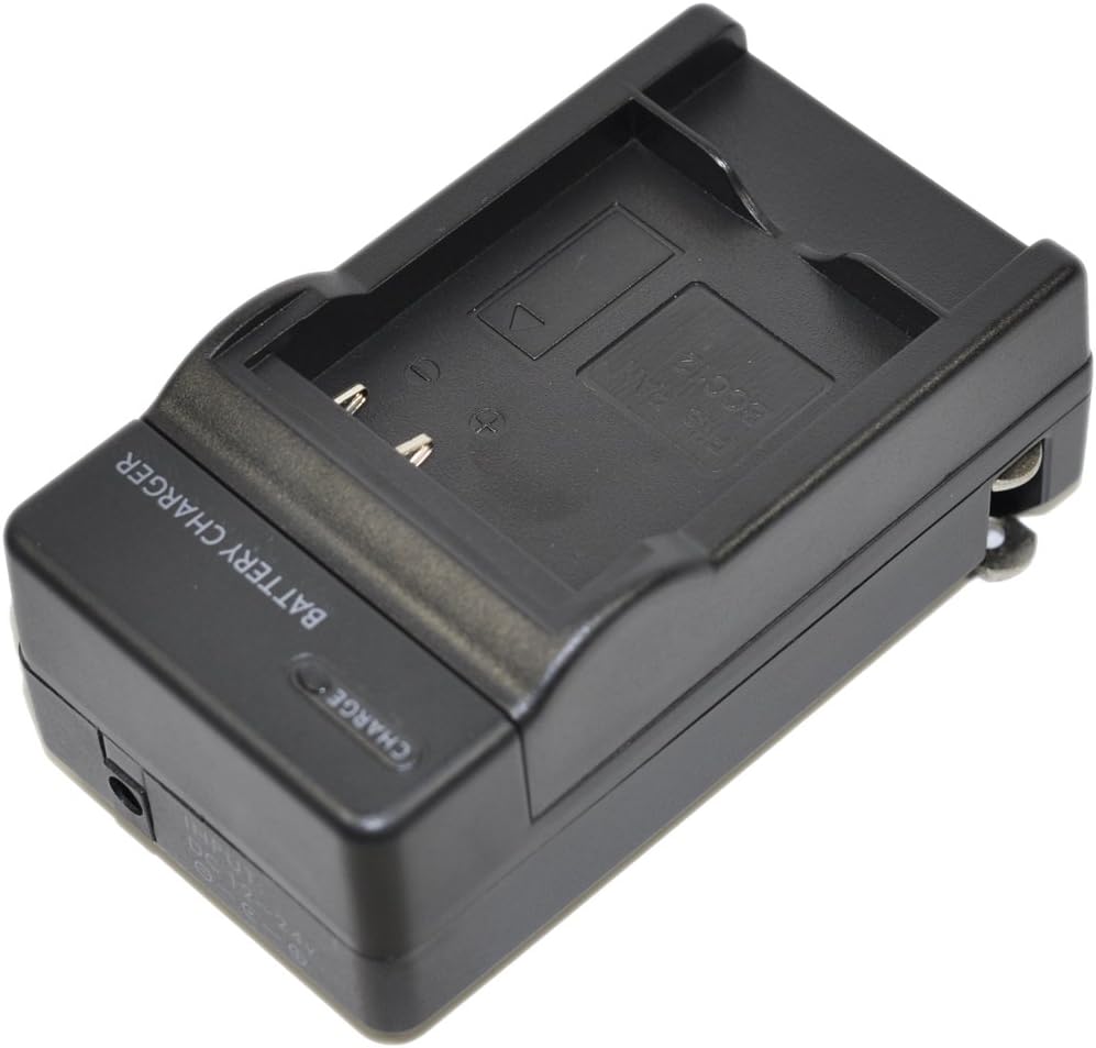 D-Li109 Battery AC DC Car Charger