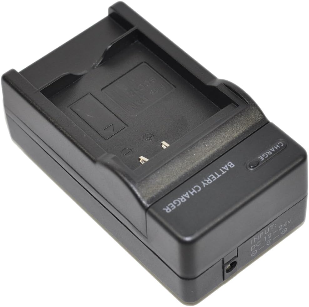 D-Li109 Battery AC DC Car Charger