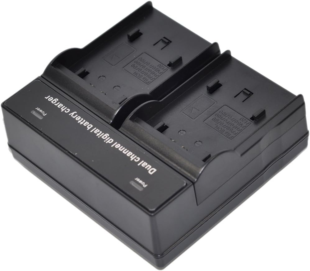 D-Li92 Battery AC Dual Charger