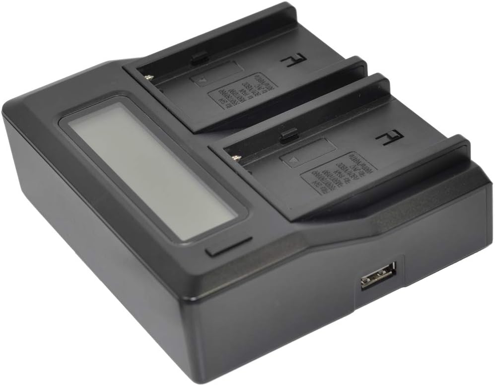DMW-BLE9 Battery AC Dual Charger