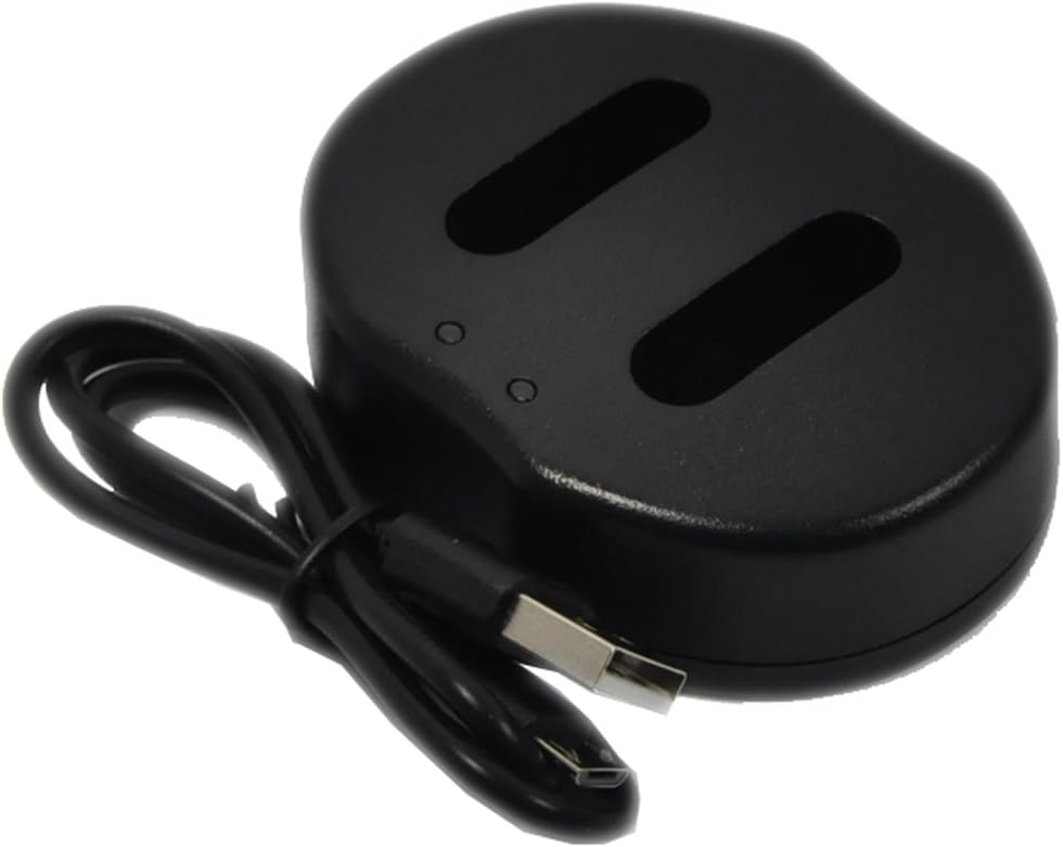DMW-BLE9 Battery USB Dual Charger